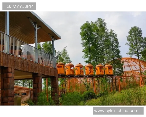 布莱克尼的魅力探秘：揭开这座小镇的历史与文化之美