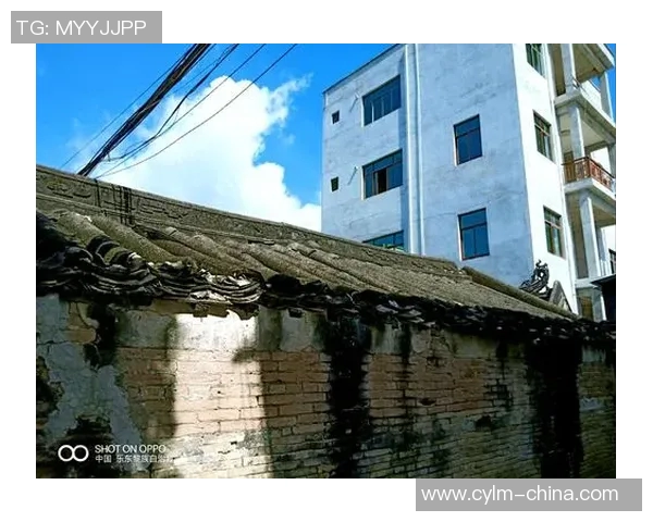 弗格的传奇人生与时代变迁的交织探讨