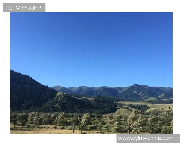 探索阿拉巴的历史文化与自然风光之美，感受多元魅力与独特风情