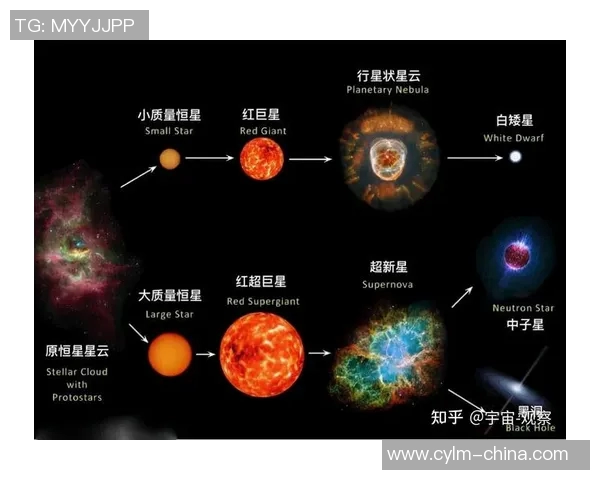 斯库特亨德森的篮球之路：从新星到未来巨星的成长历程