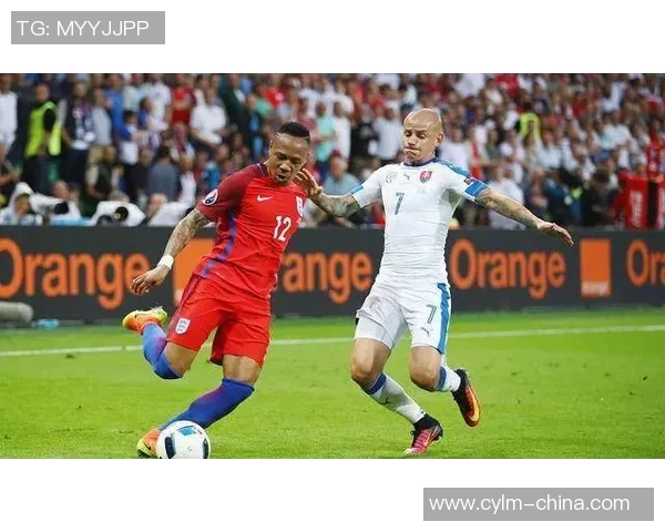 比利时与爱尔兰精彩对决视频回顾及赛后分析