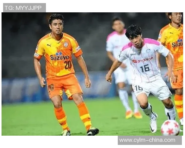 水户蜀葵对阵金泽精彩直播全程回顾与赛后分析