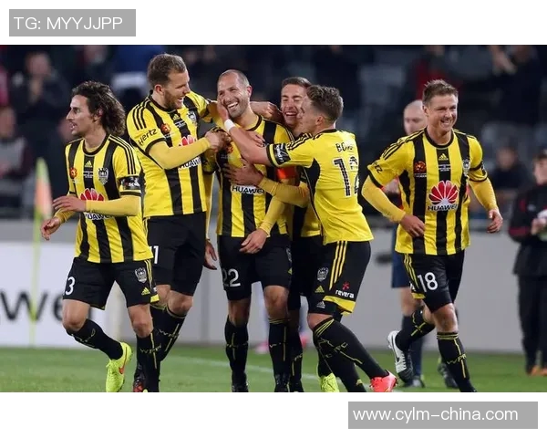 西悉尼对阵墨尔本城赛事分析与推荐策略详解