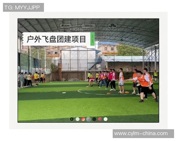 飞盘之旅：深入了解广州飞盘队的团队精神与战术理念