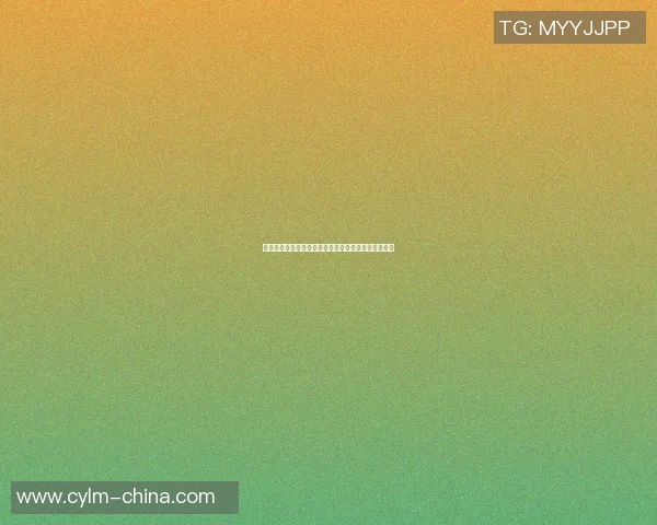 北爱与斯洛伐的激战解析：谁能在这场较量中脱颖而出